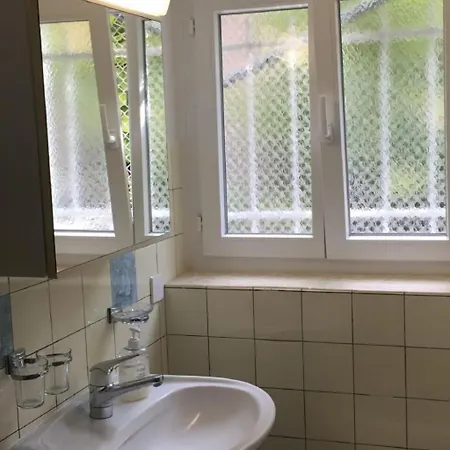 Casa Reduit Giardino By Interhome Apartament Orselina