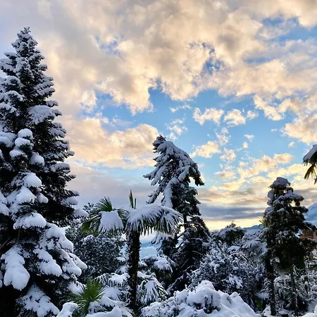 Casa Reduit Giardino By Interhome * Orselina