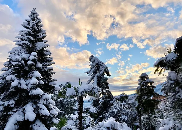 Casa Reduit Giardino By Interhome * Orselina